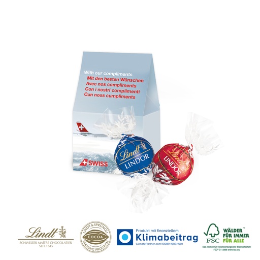 Präsentverpackung Selection Mini mit Lindt Lindor Pralinés, 2er